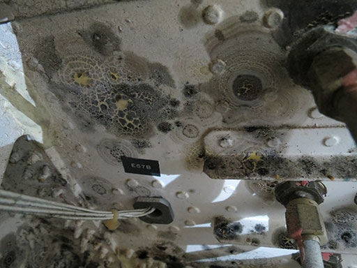 This close in shot shows how fungal contamination in an aircraft compartment degrades a polyurethane topcoat. U.S. Air Force photo/Dr. Wendy Goodson.
