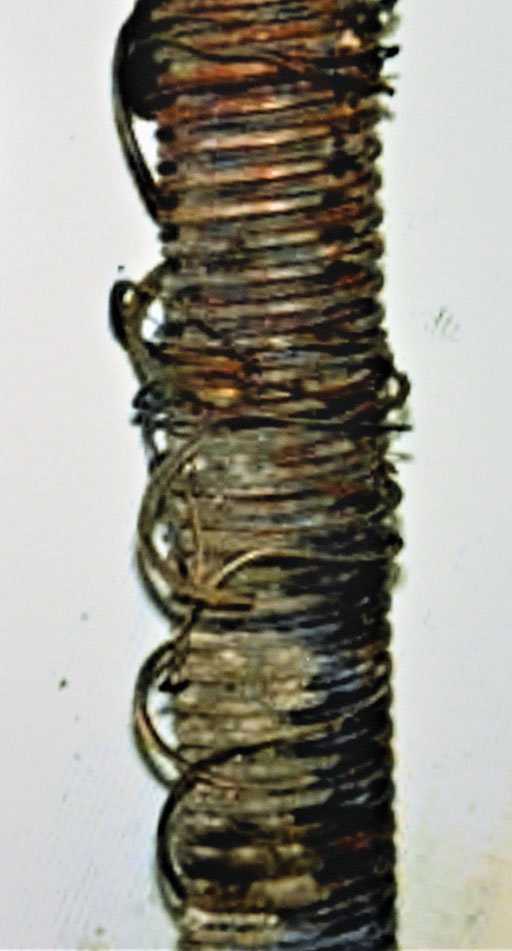 Image 4: Close-up of the “slinky” on the jackscrew which was all that remained of the acme nut threads.